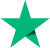 Digital Download Store Trustpilot Logo 1